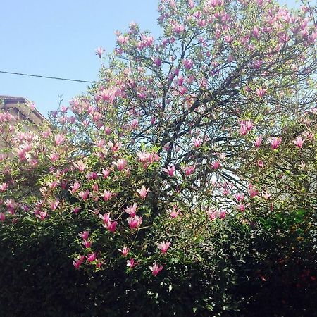 La Magnolia Appartement Riccò del Golfo di Spezia Buitenkant foto