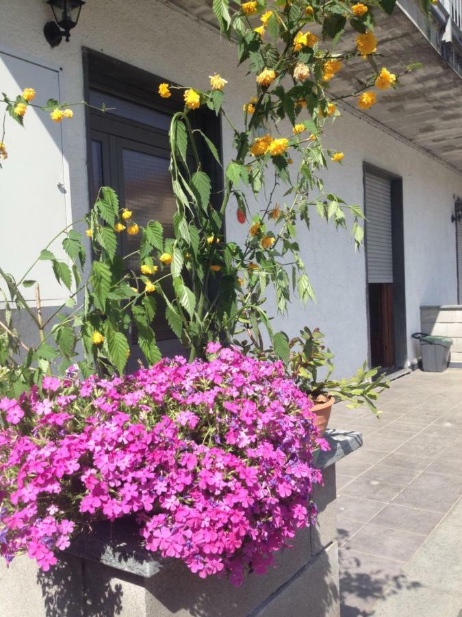 La Magnolia Appartement Riccò del Golfo di Spezia Buitenkant foto
