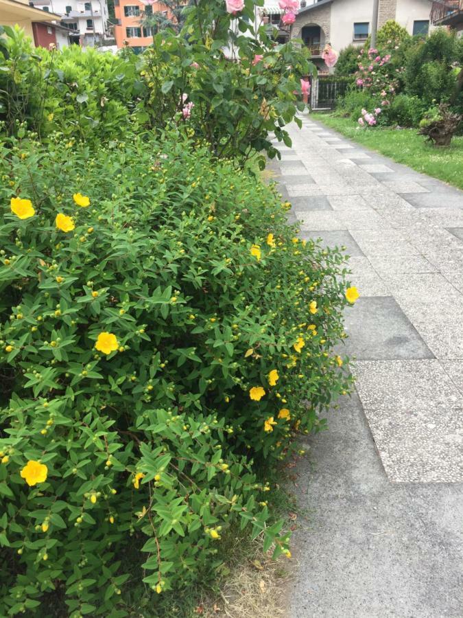 La Magnolia Appartement Riccò del Golfo di Spezia Buitenkant foto